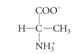 biochemistry chapter 8 quizlet|biochemistry chapter 1 test bank.